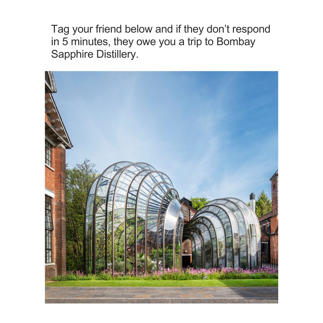 homeofbombay's tweet image. Tag your friends and if they don’t respond in 5 minutes, they owe you a trip to #BombaySapphire Distillery! 🤩👇

#BombayGin #HomeOfBombay #GinDistillery #BombaySapphireDistillery #Gin