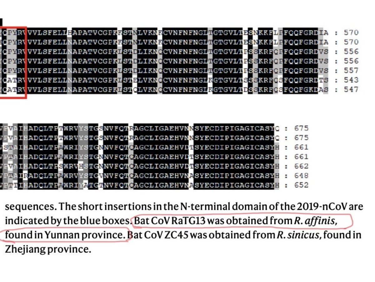 KamounLab's tweet photo. Show me the metadata—

Journals must enforce transparent reporting of metadata associated with biological samples or face the wrath of post-publication peer-reviewers. https://t.co/y62R0CG1wL https://t.co/5NTRLPuIrz