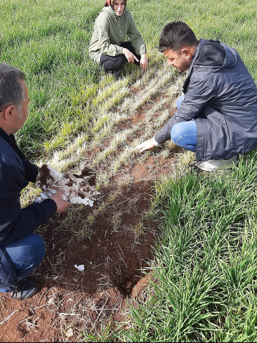 mustafaaki7177's tweet photo. @ibrahimyumakli Sayın Bakanım yağmur, çamur, sıcak demeden devamlı arazide,çiftçisinin yanında mesleğini severek yapan aylık 5 Bin TL  ye mahkum edilen Tarım Danışmanıyla  
Tanıştırayım. https://t.co/QFx581PIwx