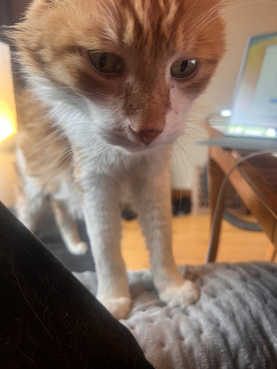 Blair Burnette tweet media