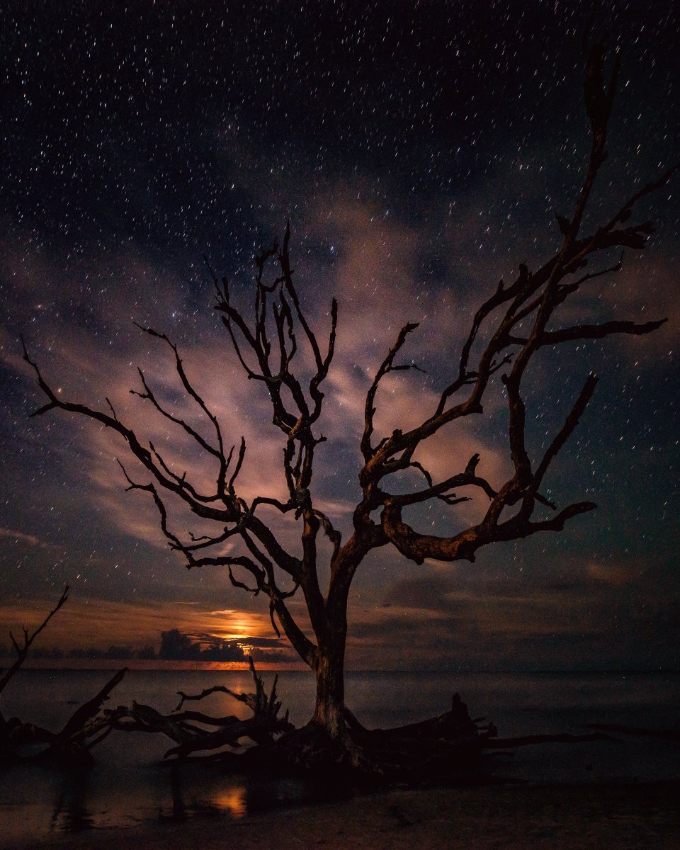 PilotRopa's tweet photo. Drifting into the enchanting realm of dreams, where stars sprinkle their magic and the moon whispers serenity. ✨💖 Wishing you a night as breathtaking as your dreams. #GoodNightBeautiful 🌙💫 https://t.co/mKYGNk6bss