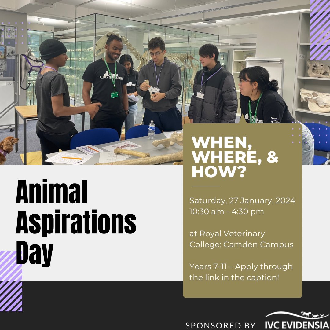 Animal Aspirations tweet media