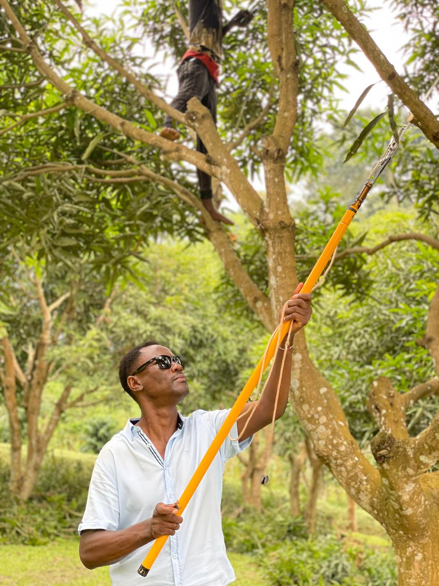 Jimmy Kiberu tweet media