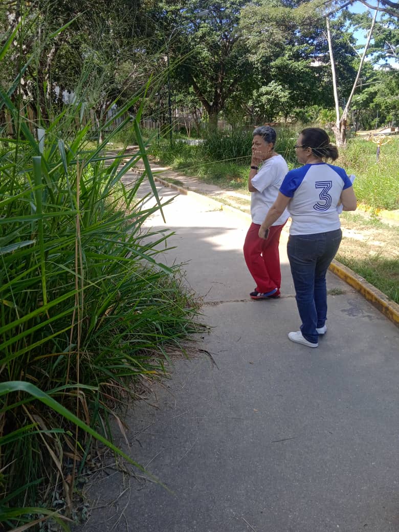clbejar's tweet photo. @imapsas @lAlcaldiasucre @JoseVRangelA @ccsjuntostodo @GabrielaEsSucre @ObrasSucre . Así de deplorable, esta el Parque Yare de Macaracuay, nadie acude al llamado urgente que hace la comunidad. Solo 2 veces en el 2023 fue limpiado https://t.co/KZp0QBlEzE