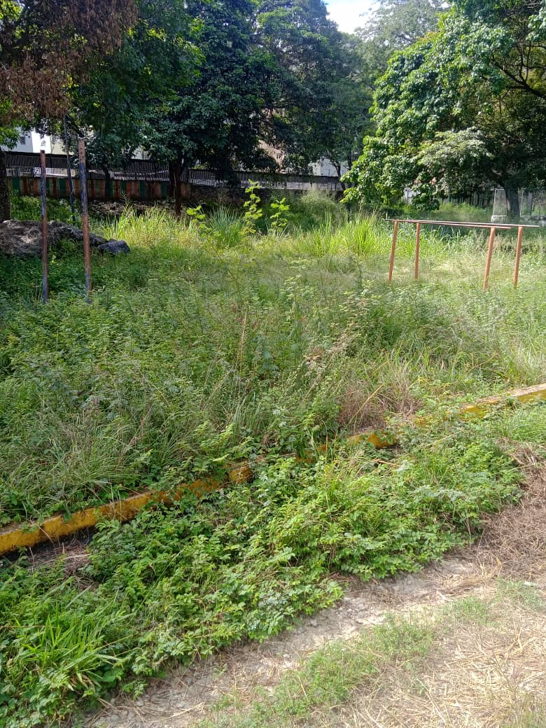 clbejar's tweet photo. @imapsas @lAlcaldiasucre @JoseVRangelA @ccsjuntostodo @GabrielaEsSucre @ObrasSucre . Así de deplorable, esta el Parque Yare de Macaracuay, nadie acude al llamado urgente que hace la comunidad. Solo 2 veces en el 2023 fue limpiado https://t.co/KZp0QBlEzE