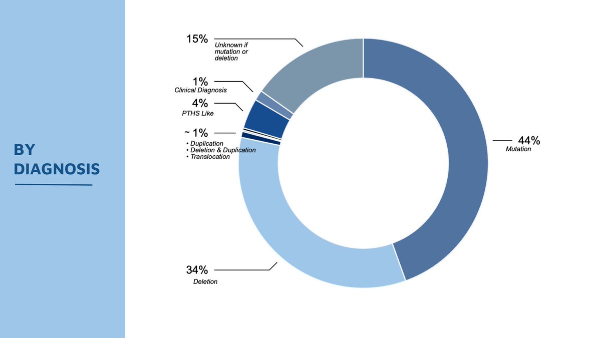 #PittHopkins Census Count, end of Q3 in 2023... • 1,263 diagnosed with Pitt Hopkins syndrome • 41 diagnosed with Pitt Hopkins-Like syndrome (1 or 2) • 64 different countries More details and link for parents to add your child: pitthopkins.org/census. #raredisease #census