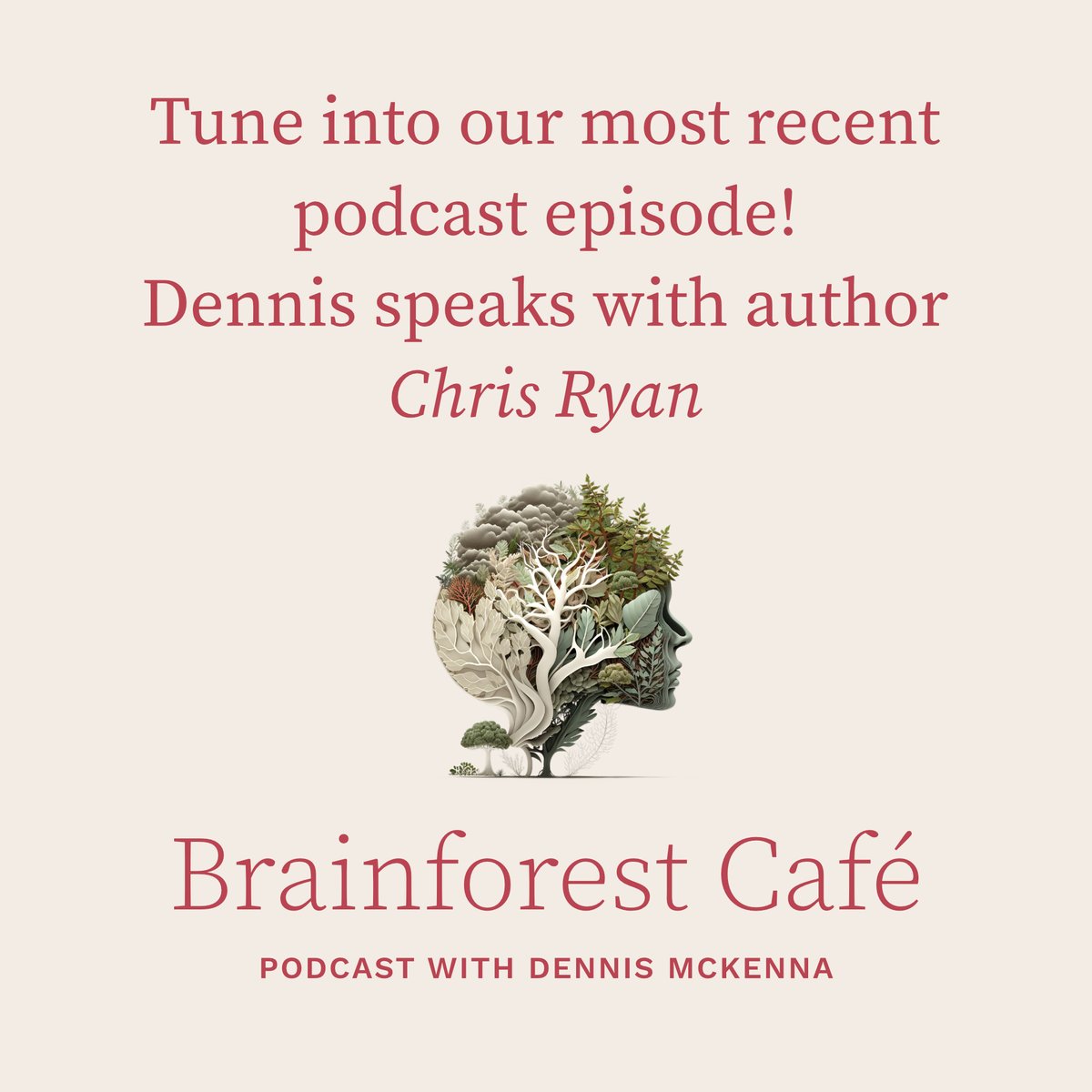 Tune into our most recent podcast episode! Dennis speaks with author Chris Ryan. He is well-known for his books 'Sex at Dawn', and 'Civilized to Death: The Price of Progress.' mckenna.academy/mka-podcast/ci…