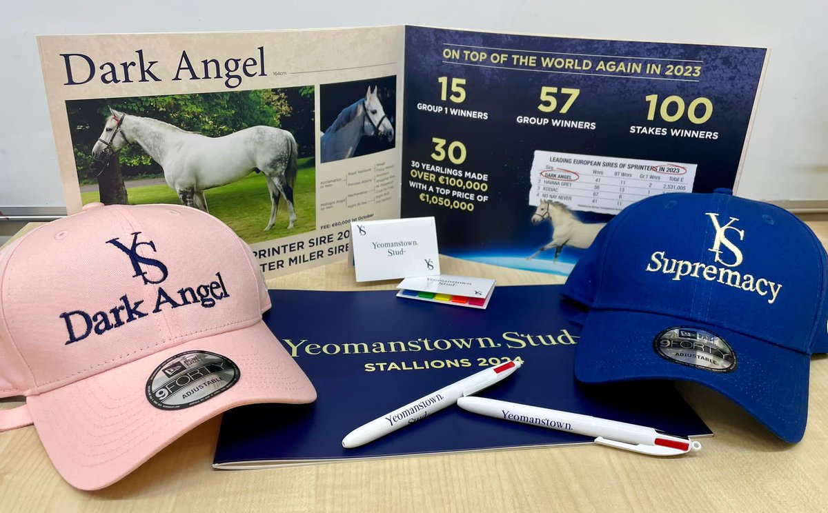 ⭐️ COMPETITION ⭐️ To mark the 10th anniversary of the ITM Irish Stallion Trail on 12th & 13th Jan, Yeomanstown Stud have given #ThoroughbredTales this prize for one lucky follower. To enter just retweet and follow @YeomanstownStud & @ThoroughbrdTale & @IREthoroughbred For more…