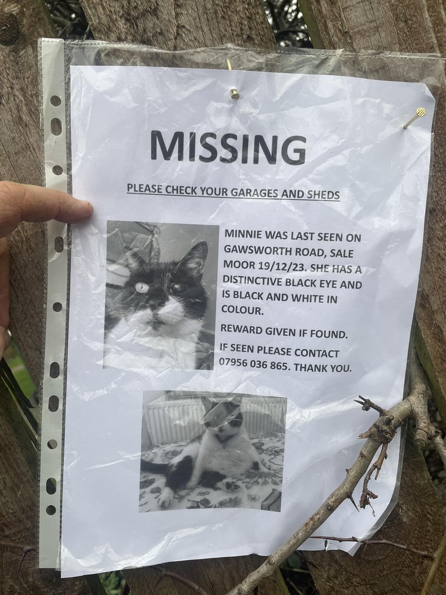 #CatsOfTwitter #lostcat #FoundCats @petsreunited 
Has anybody seen this #Cat? Minnie has been #Missing from the Sale Moor area since before Christmas & her owner is devastated. As you can see from the photograph, she has a very distinctive black eye.