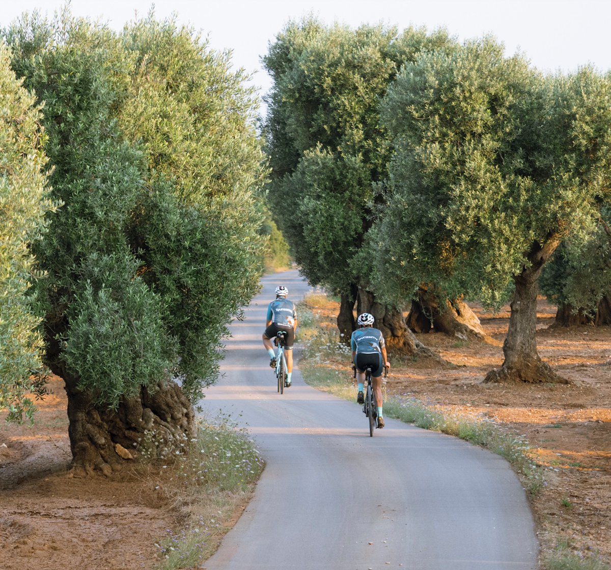 bob blumer tweet media