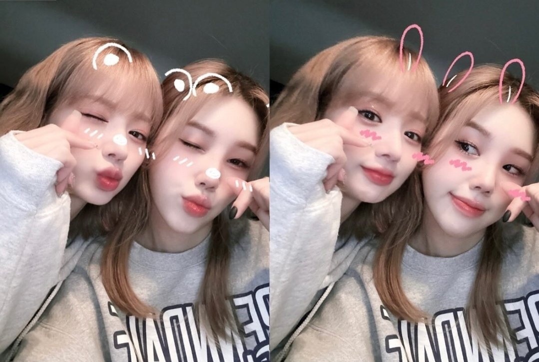 해시태그 tweet media