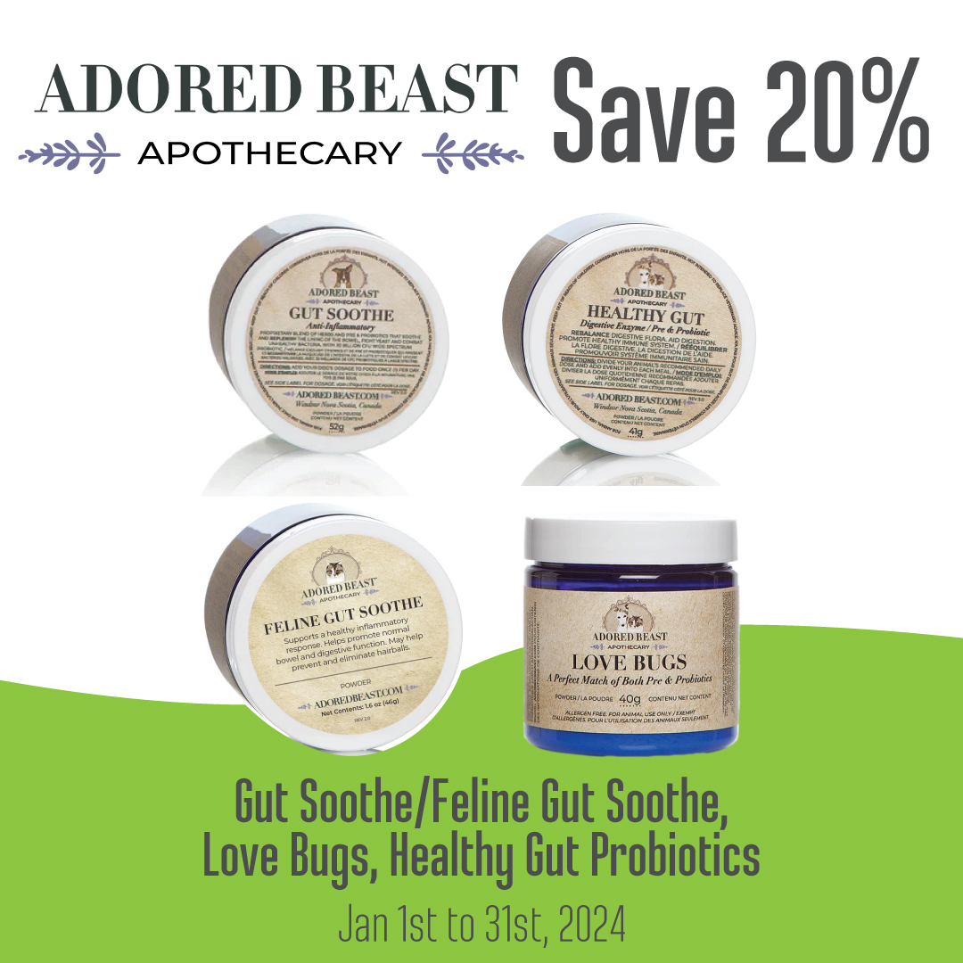 tailblazerspets's tweet photo. January Promotions! #dog #cat #puppy #kitten #tailblazers #tailblazerspets #petstore #pethealth #healthypet https://t.co/geebnUzp7u