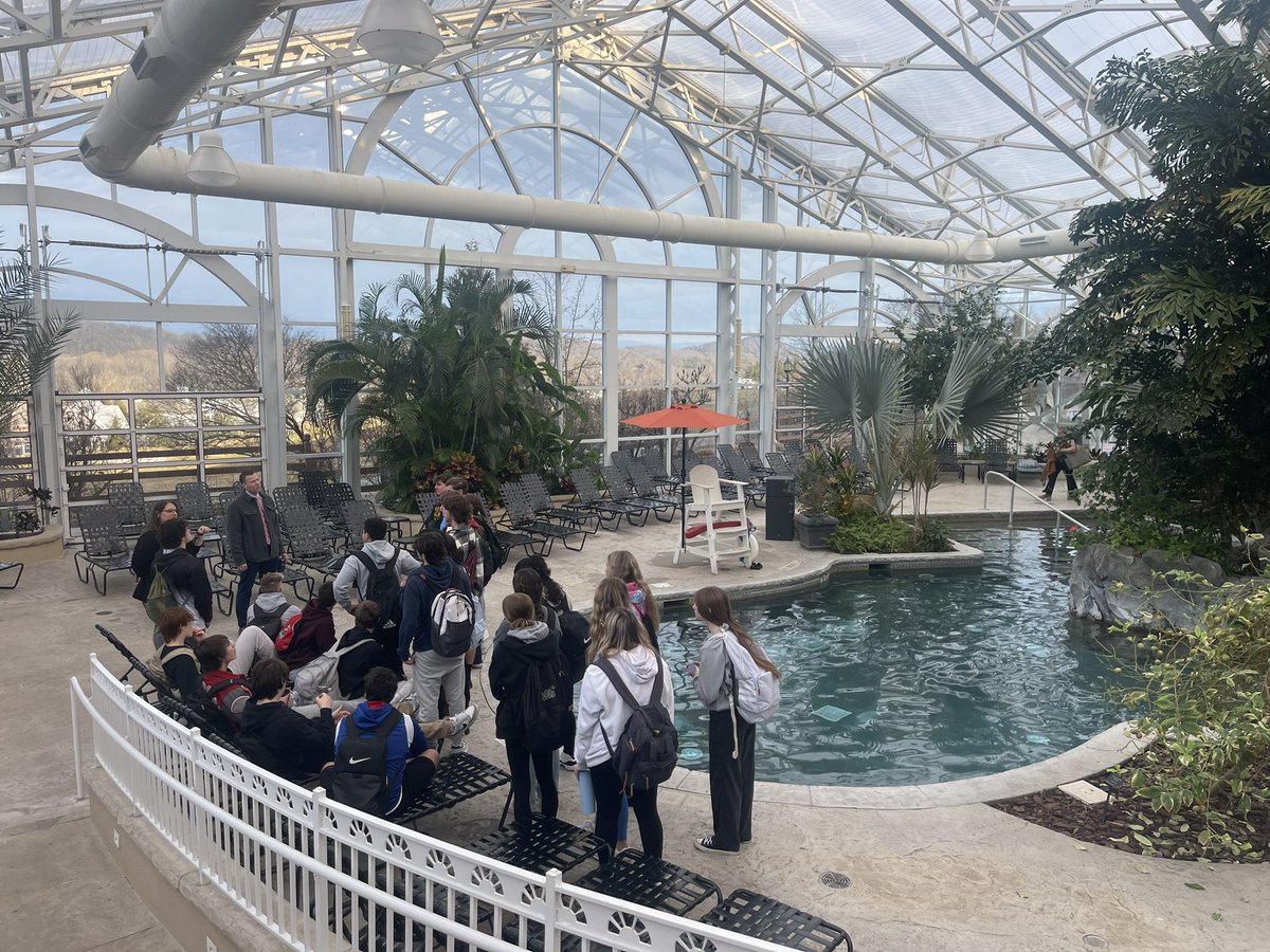 Theresa Emma tweet media