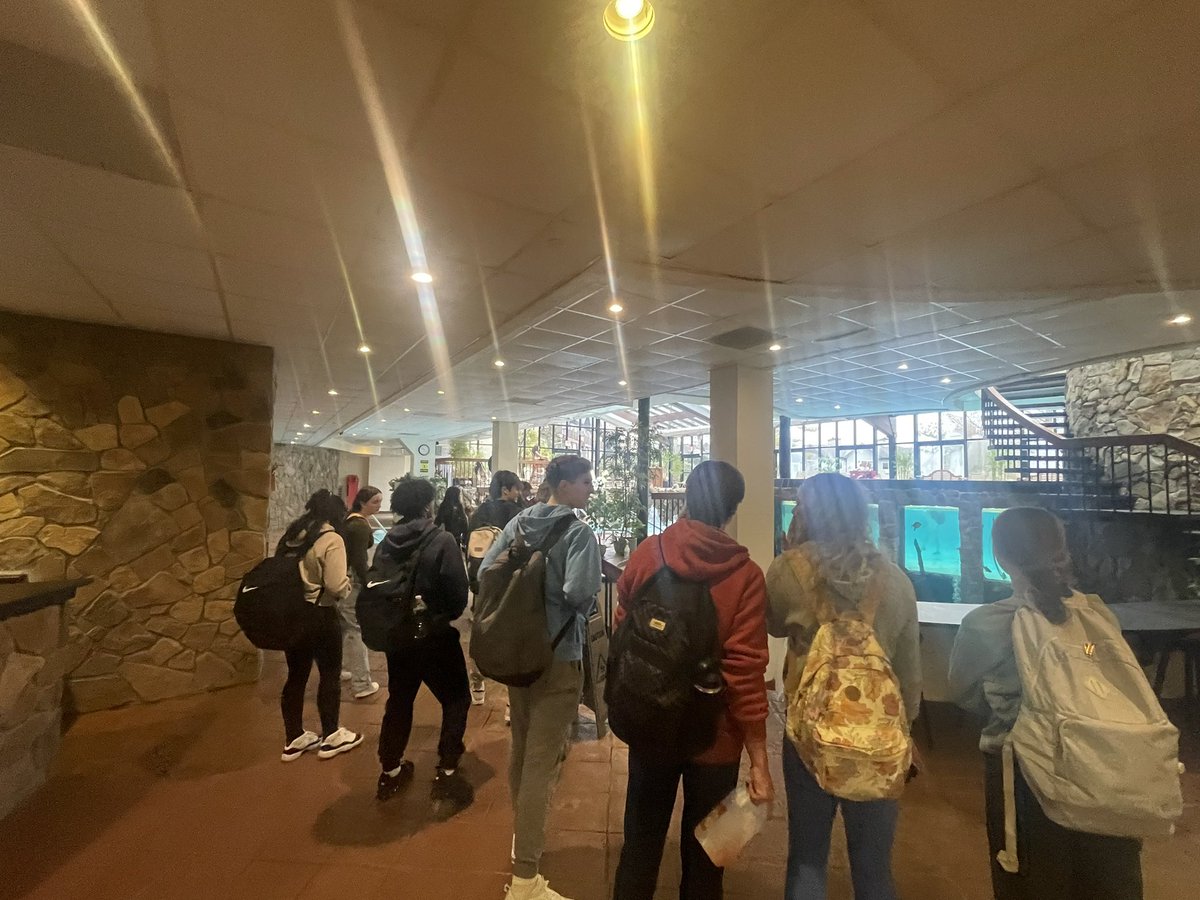 Theresa Emma tweet media