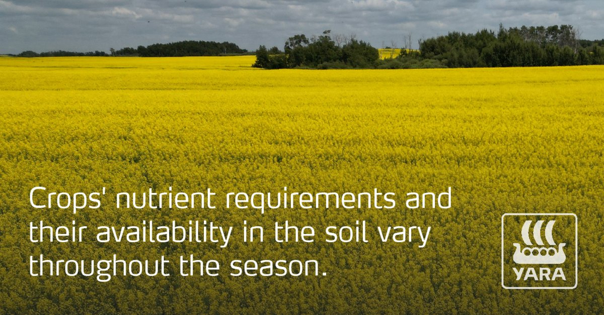 YaraWesternCdn's tweet photo. Be proactive in anticipation of nutrient demand. Include foliar nutrition in your crop's fertility plan and avoid common nutrient deficiencies in Western Canadian crops. Check with your retailer about foliar nutrition now! #FoliarNutrition #WestCdnAg https://t.co/f6DbuoSP9h