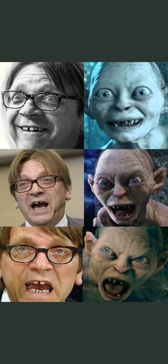 inu_let's tweet photo. @guyverhofstadt Dögölj meg te köcsög fogtündér https://t.co/abWyV6KhqF