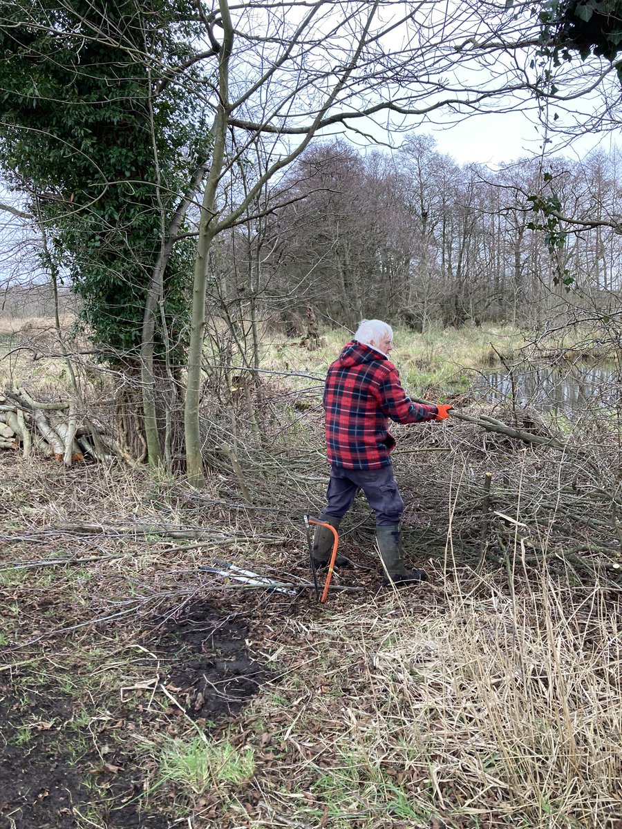 SWT_NE_Reserves's tweet photo. Grateful to be out with the reserve volunteer work party today and clearing up the remaining scrub work and putting the brash to good use 🥰@SWTCarltonMarsh https://t.co/5umZcFDMAS
