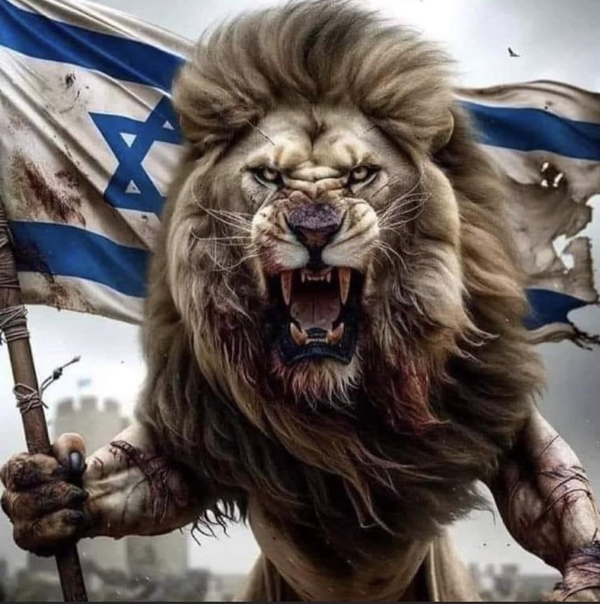 VividProwess's tweet photo. 12K Pro-Israel 🇮🇱 FOLLOWERS !! ✡️

No one will ever beat us. See the power in our unity.

Comment down below 👇👇 if your heart is Blue and White. 💙🤍

Follow each other in the comments. We need each other. 🇮🇱⚔️ https://t.co/42WUVfKqTM