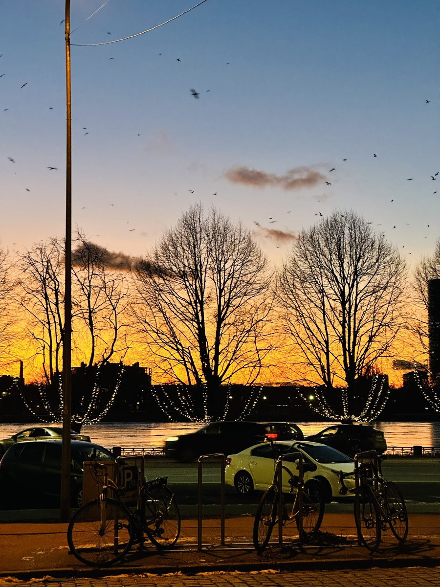 🇺🇦 sky in 🇱🇻Riga, Latvia as 🇺🇦President <a href="/ZelenskyyUa/">Volodymyr Zelenskyy / Володимир Зеленський</a> lands.

📸 authors <a href="/vogezija/">Vogēzi</a>, <a href="/adas_shamane/">Anda Apine</a> &amp; <a href="/ElinaOgsta/">Elina Ogsta 🇱🇻🇺🇦</a>