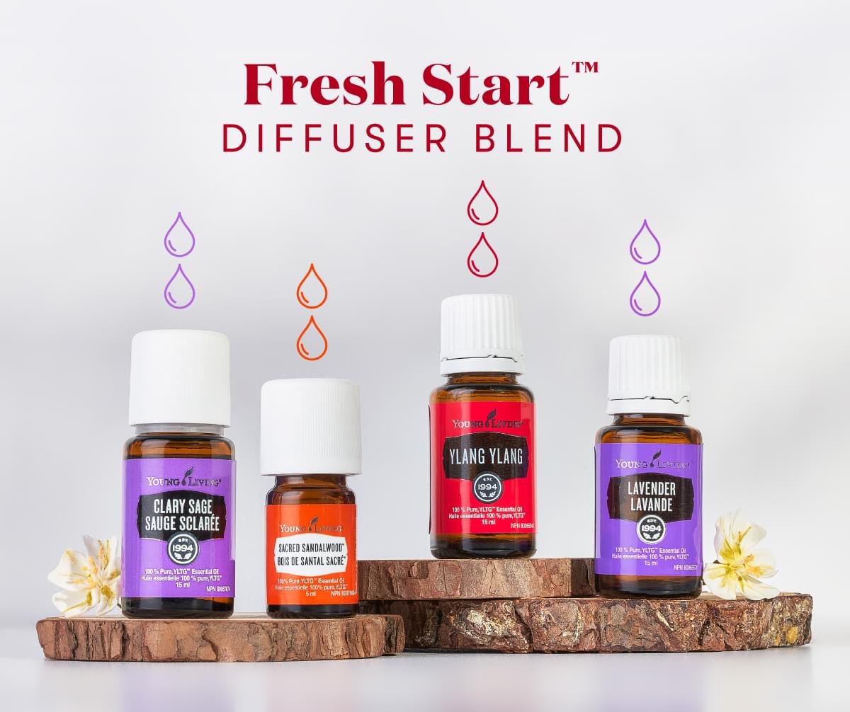 DivineBlissCorp's tweet photo. Lovely Essential Oil diffuser blend recipe! 😍 More recipes &amp; tips as well as my discount code link can be found here: https://t.co/cfdd9I9pQr 

#youngliving #essentialoils #diffuserblends https://t.co/vLKgExtskd