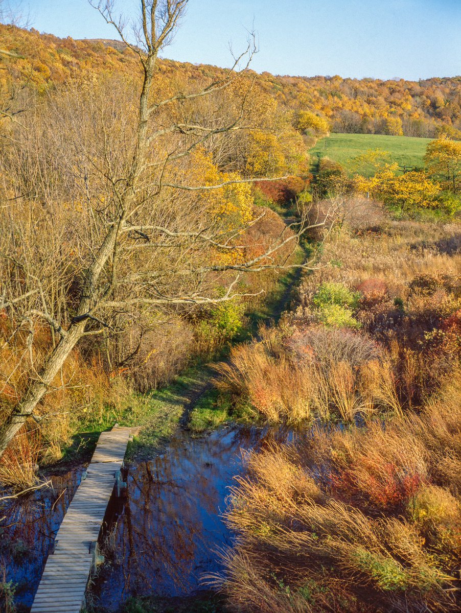 Blaise Gomez tweet media