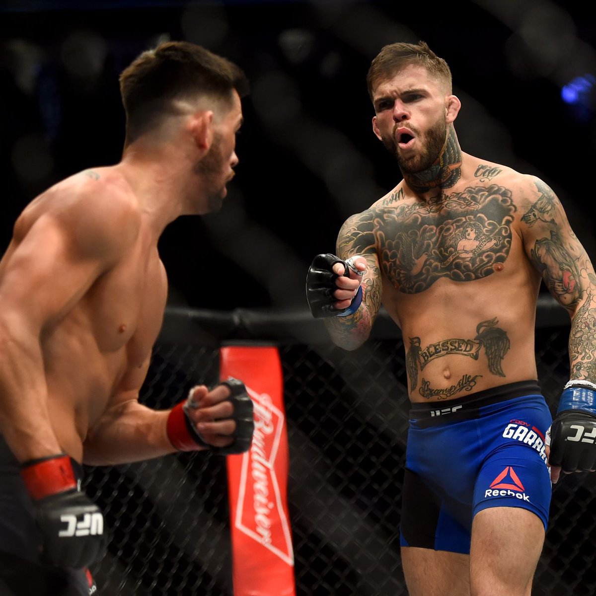 Connor Peña tweet media