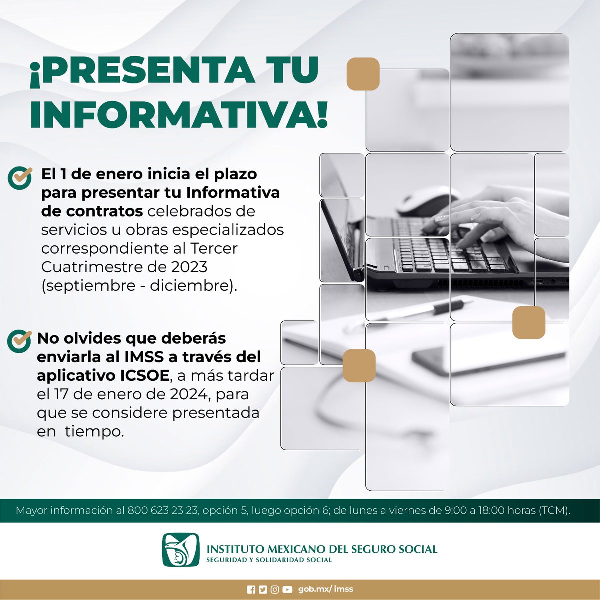 IMSS  tweet media