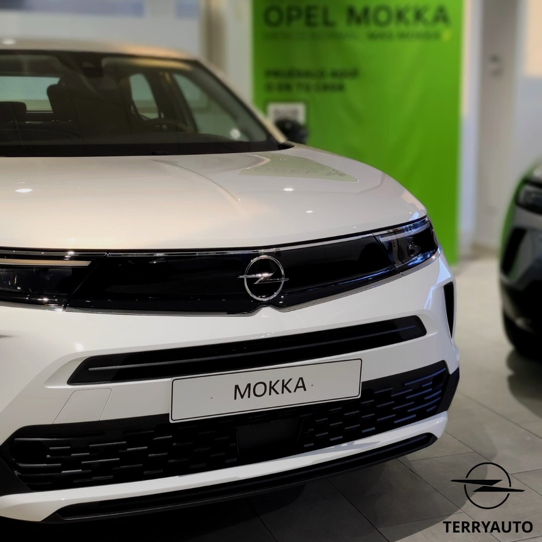 Terryauto - Opel tweet media
