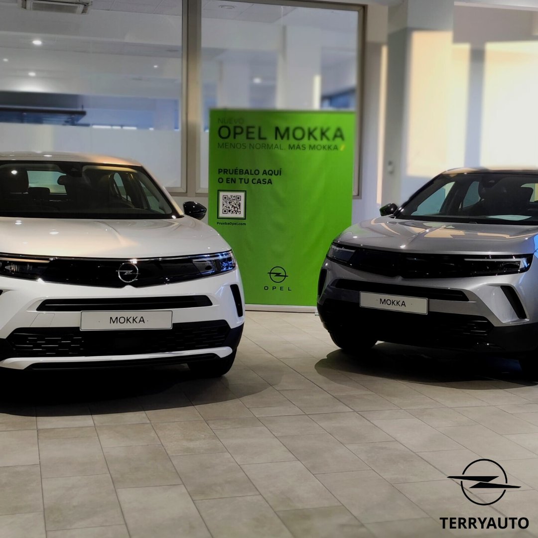 Terryauto - Opel tweet media