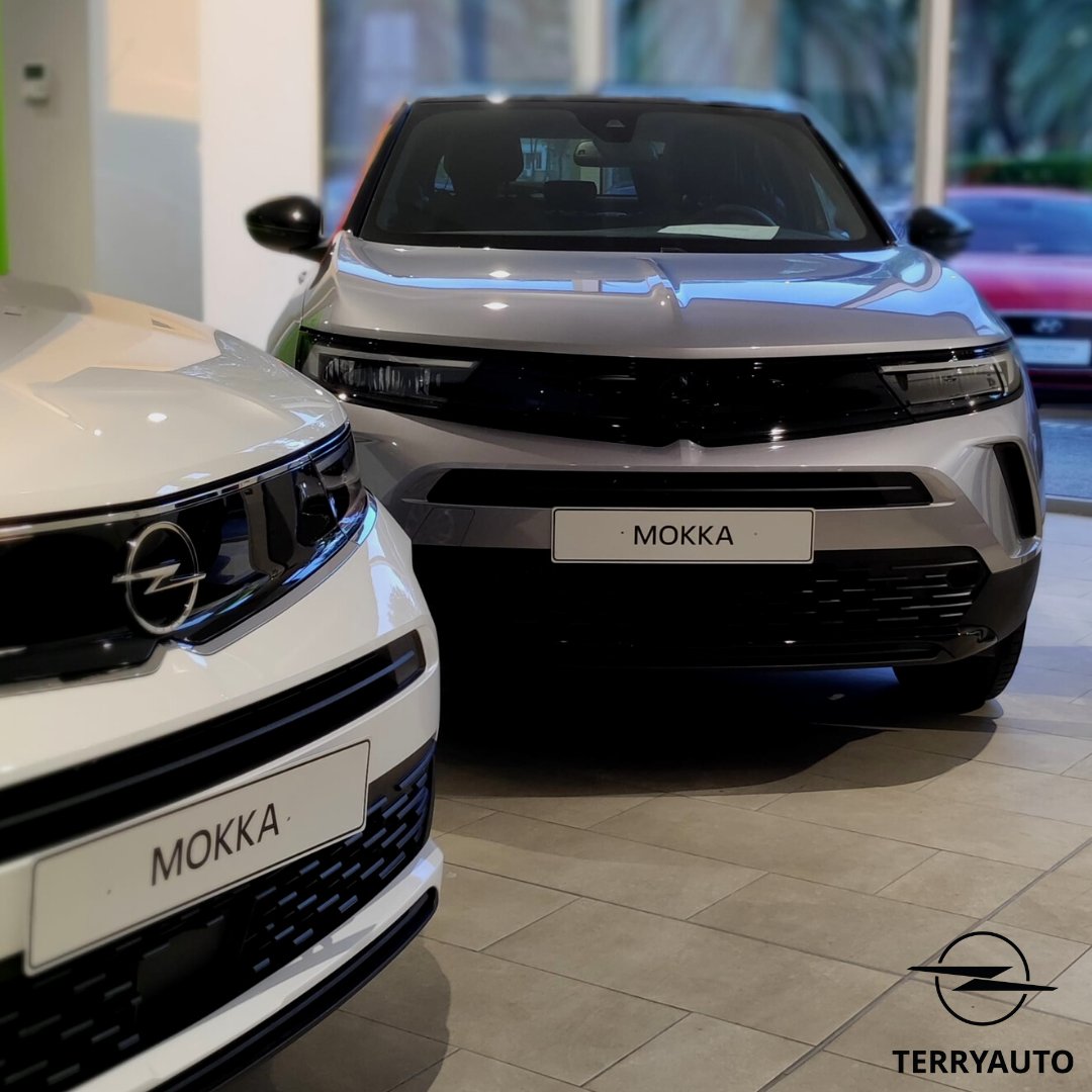 Terryauto - Opel tweet media