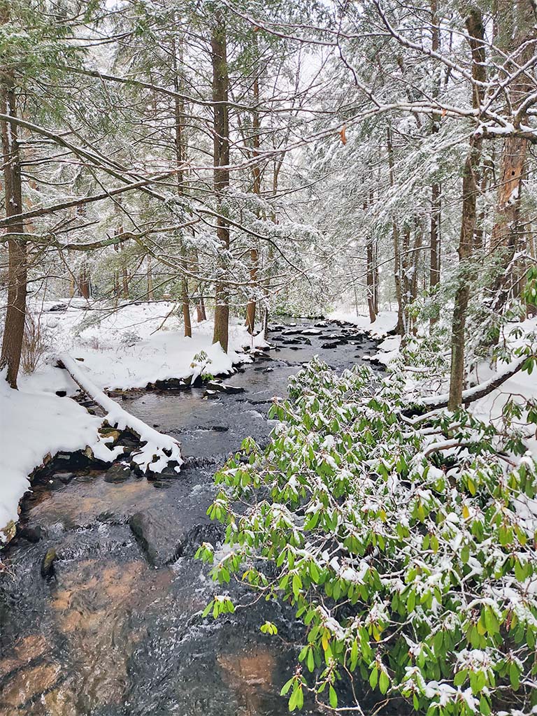 DCNRnews's tweet photo. Recent snow created some beautiful views around Halfway Lake and from the overlook at #RaymondBWinterStatePark in Union County.
#PaStateParks #PaSnowDays #RaymondBWinterStatePark #GetOutdoorsPa #OutdoorsInPa https://t.co/N6XADdsOed