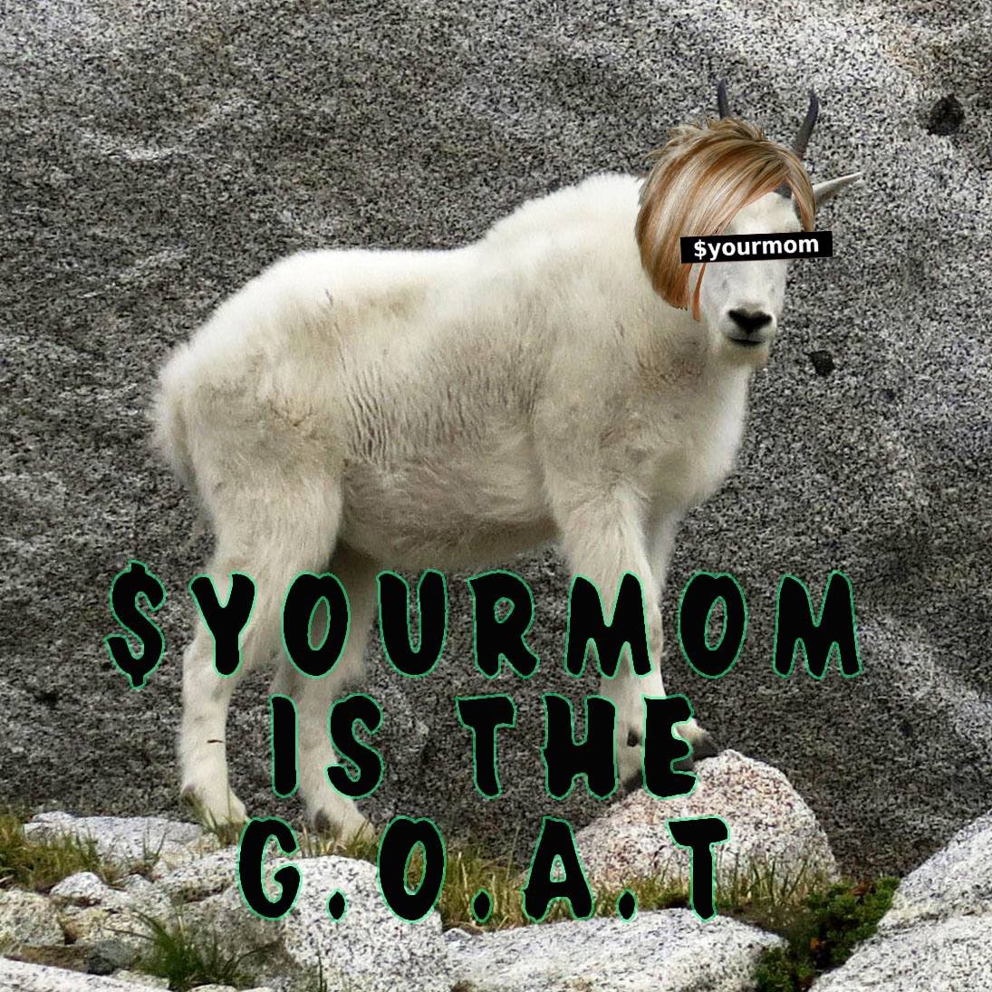 $yourmom tweet media