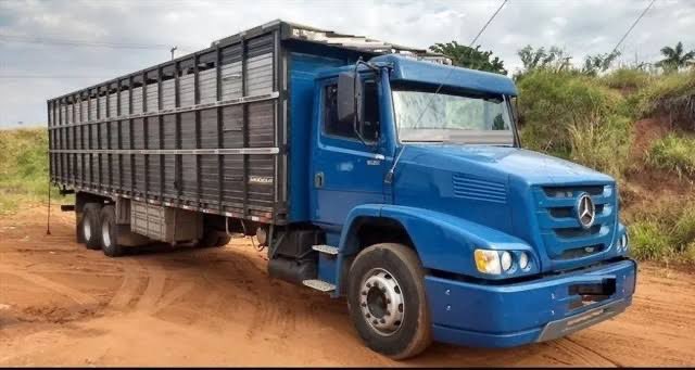 rafa_pinzetta's tweet photo. @balbinot_igor transporte do vqq esse ano!!! https://t.co/BjfqtwdSMj
