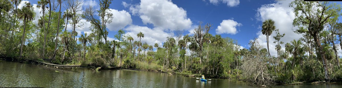 Cloud Reporter tweet media