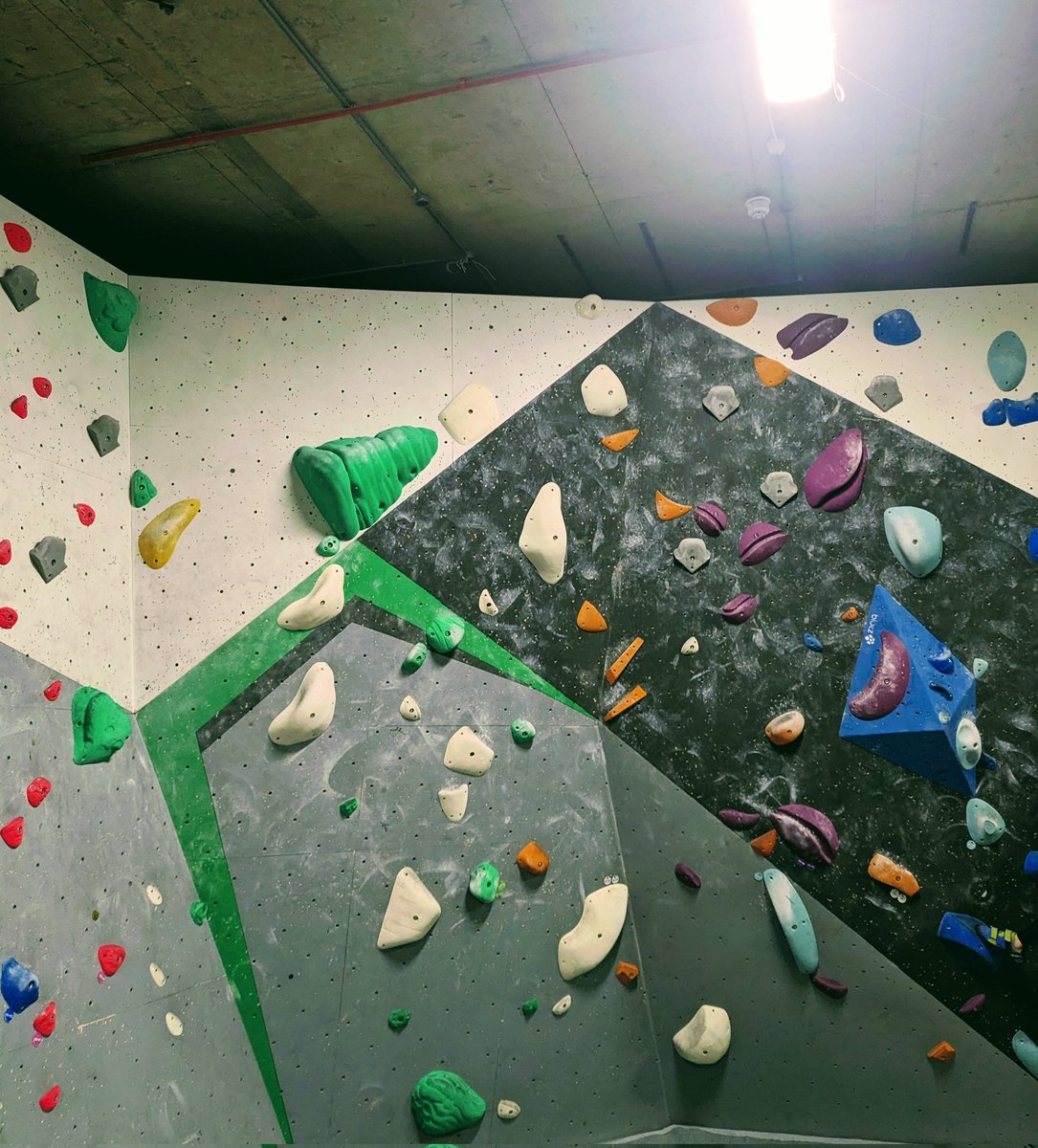 The Nose tweet media