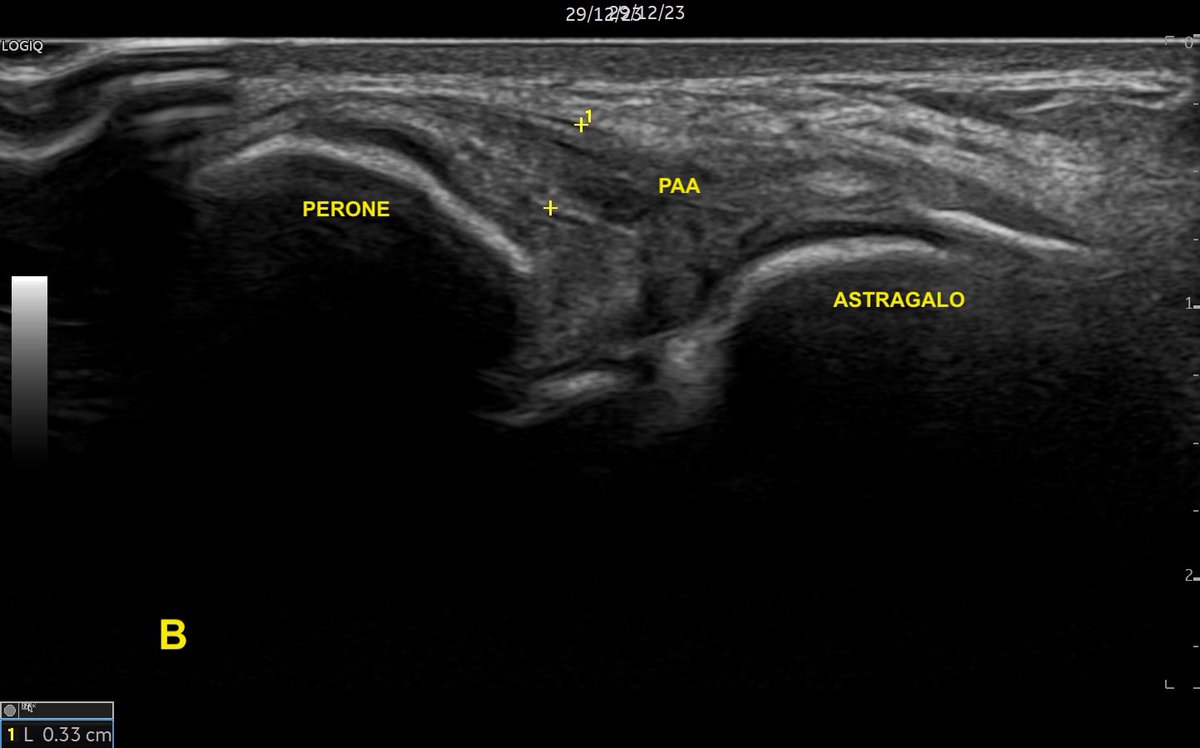 Dr. Fernando Jimenez tweet media