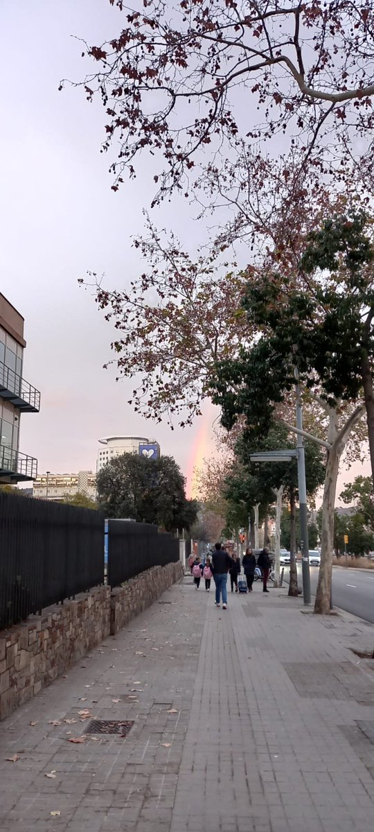 Sarits87's tweet photo. Hoy ha salido el arcoiris en @vallhebron 🌈🤍 https://t.co/iQwthyRtBj