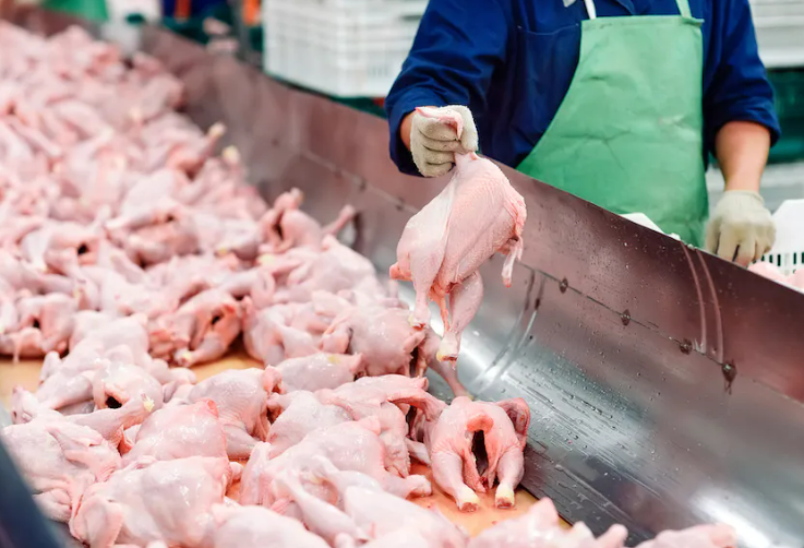 ICSGroup4's tweet photo. Proposed #EPA standards to monitor meat packing effluent aim to cut pollution in waterways, but meat and poultry producers will argue during public hearings this month that the planned rules are too costly.

#meatpacking #meatpackagingfacility #wastewatereffluent https://t.co/BwiIN3lHbm