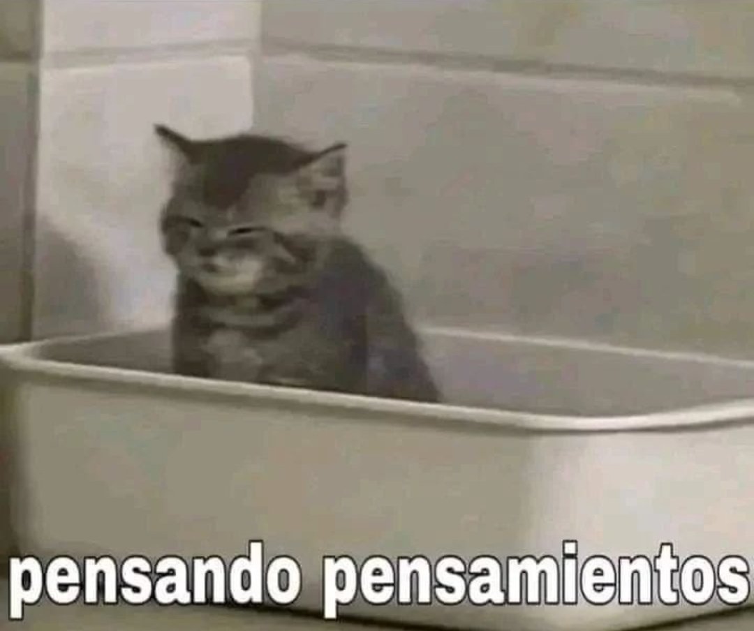 IlChernoBruno's tweet photo. Até reels parou de mandar https://t.co/HIbOknB8pc
