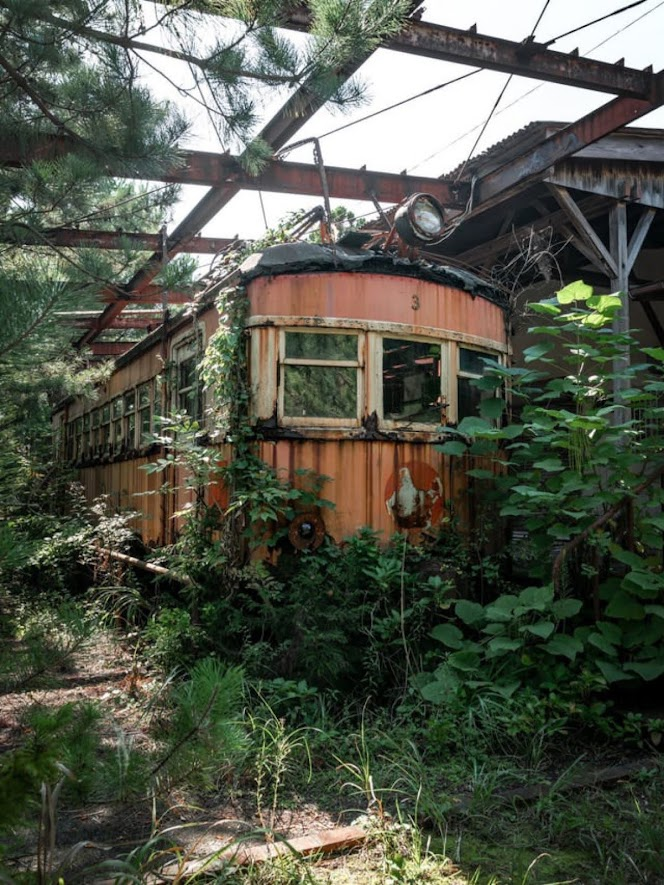 HarmonicCurator's tweet photo. Trains 🚂 https://t.co/0Mk5FnQCPO