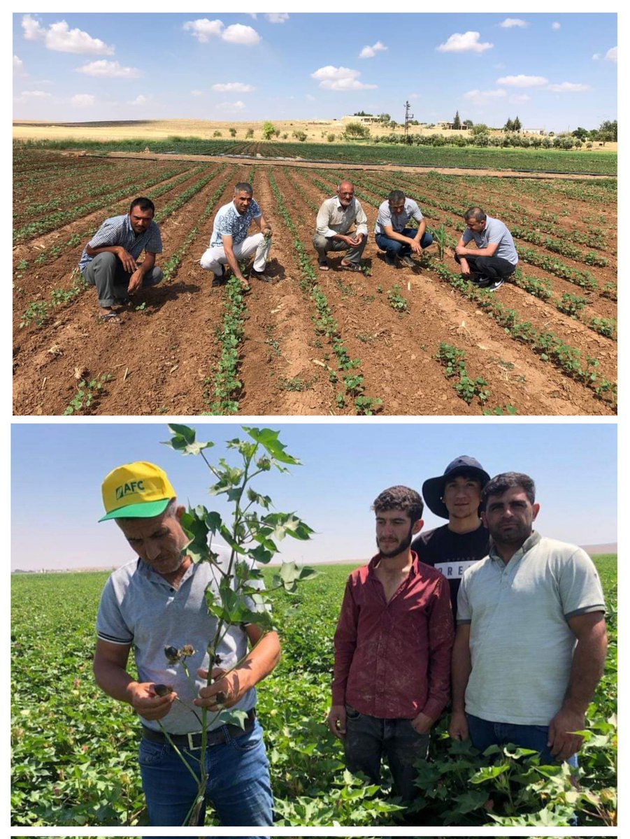 <a href="/ibrahimyumakli/">İbrahim Yumaklı</a> Erenle tanıştık.Sizde biz tarım danışmanlarıyla tanışırsanız memnun oluruz.