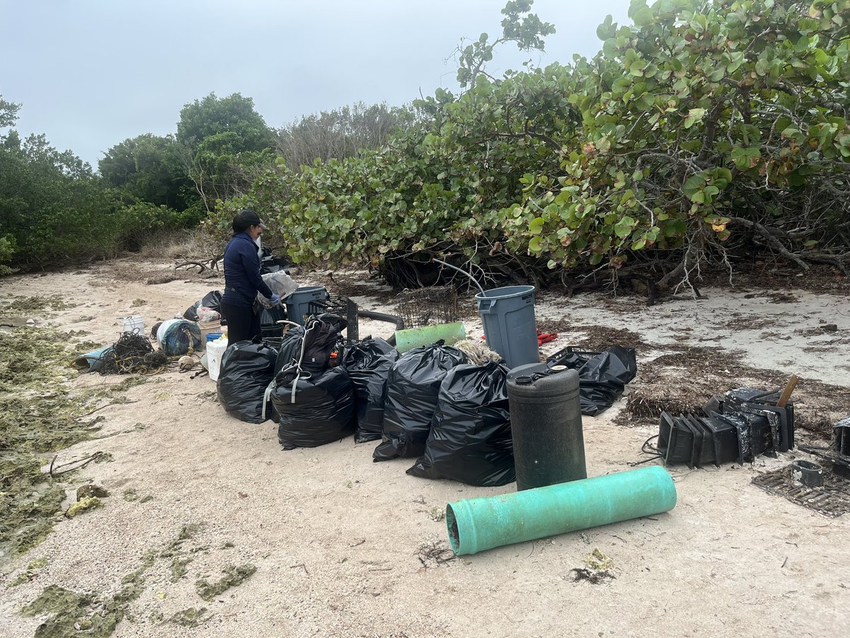 AndrewOtazo's tweet photo. I helped @mjalgarra and @Cleanthisb_up remove over 1,500 pounds of trash from Sands Key today! https://t.co/YLLDFpHuzS