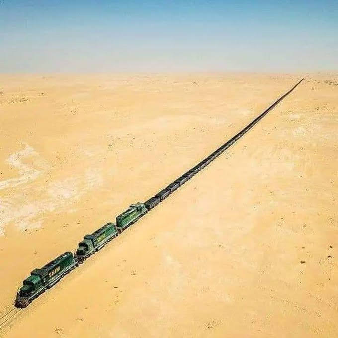 HarmonicCurator's tweet photo. Trains 🚂 https://t.co/0Mk5FnQCPO