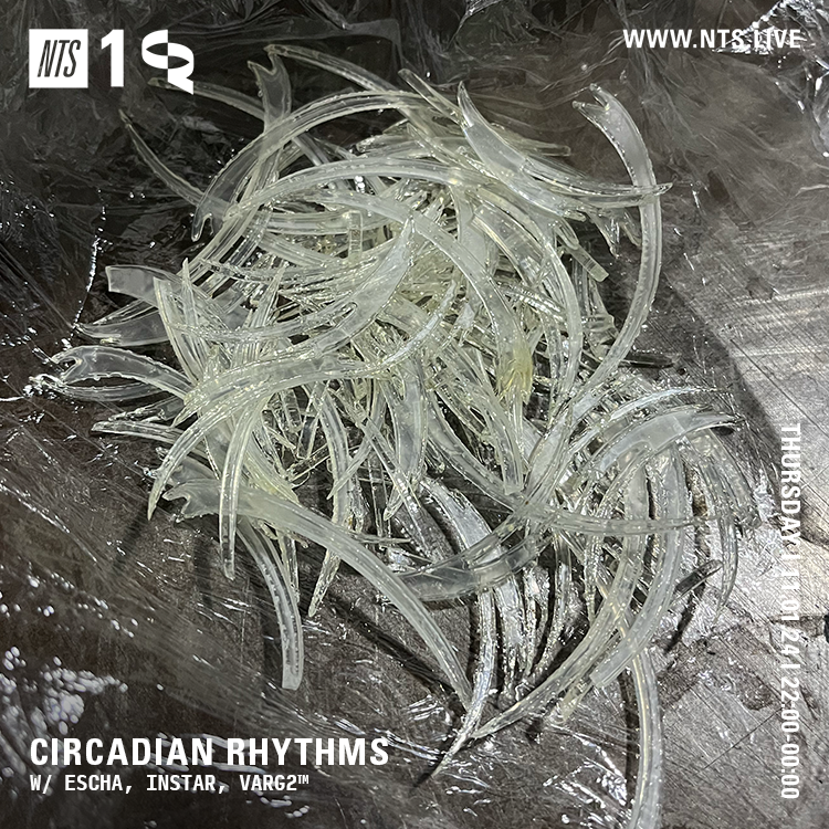 CIRCADIAN RHYTHMS tweet media