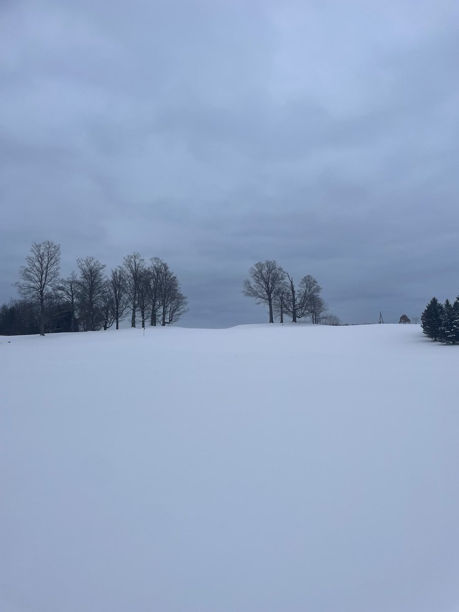 #BlackAndWhite in color. 🌳