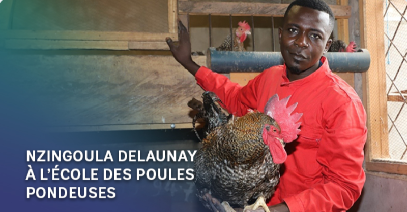 Banquemondiale's tweet photo. Le #PDCE a permis à Nzingoula Delaunay de transformer une formation en aviculture en une coopérative avicole prospère. En combinant créativité et dévouement, il a créé des races améliorées de poulets, ouvrant ainsi la voie à une aviculture novatrice et durable. ⤵