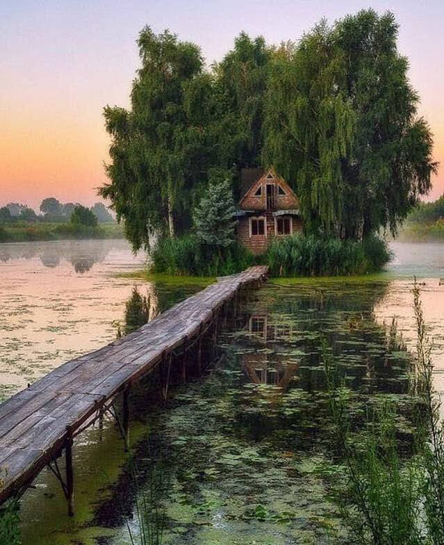 HarmonicCurator's tweet photo. https://t.co/onCmTKSELz