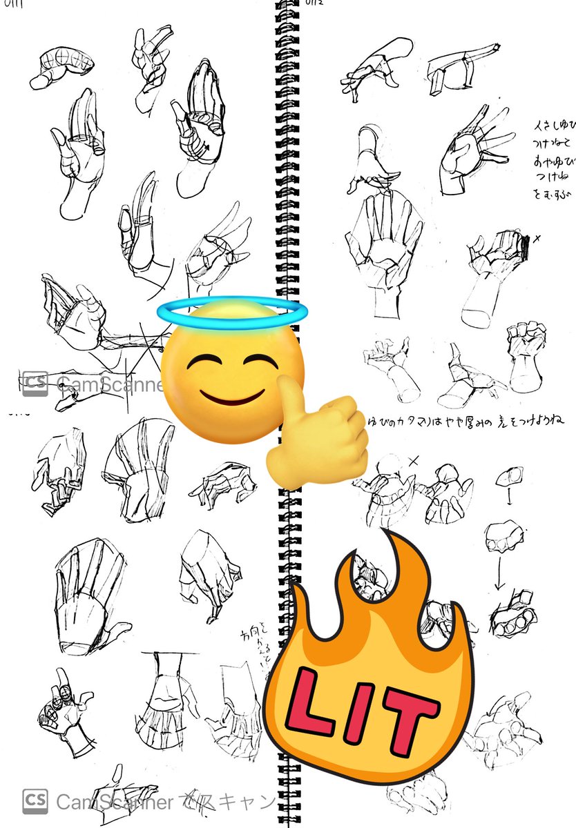 0112 オハヨー!🌞 
