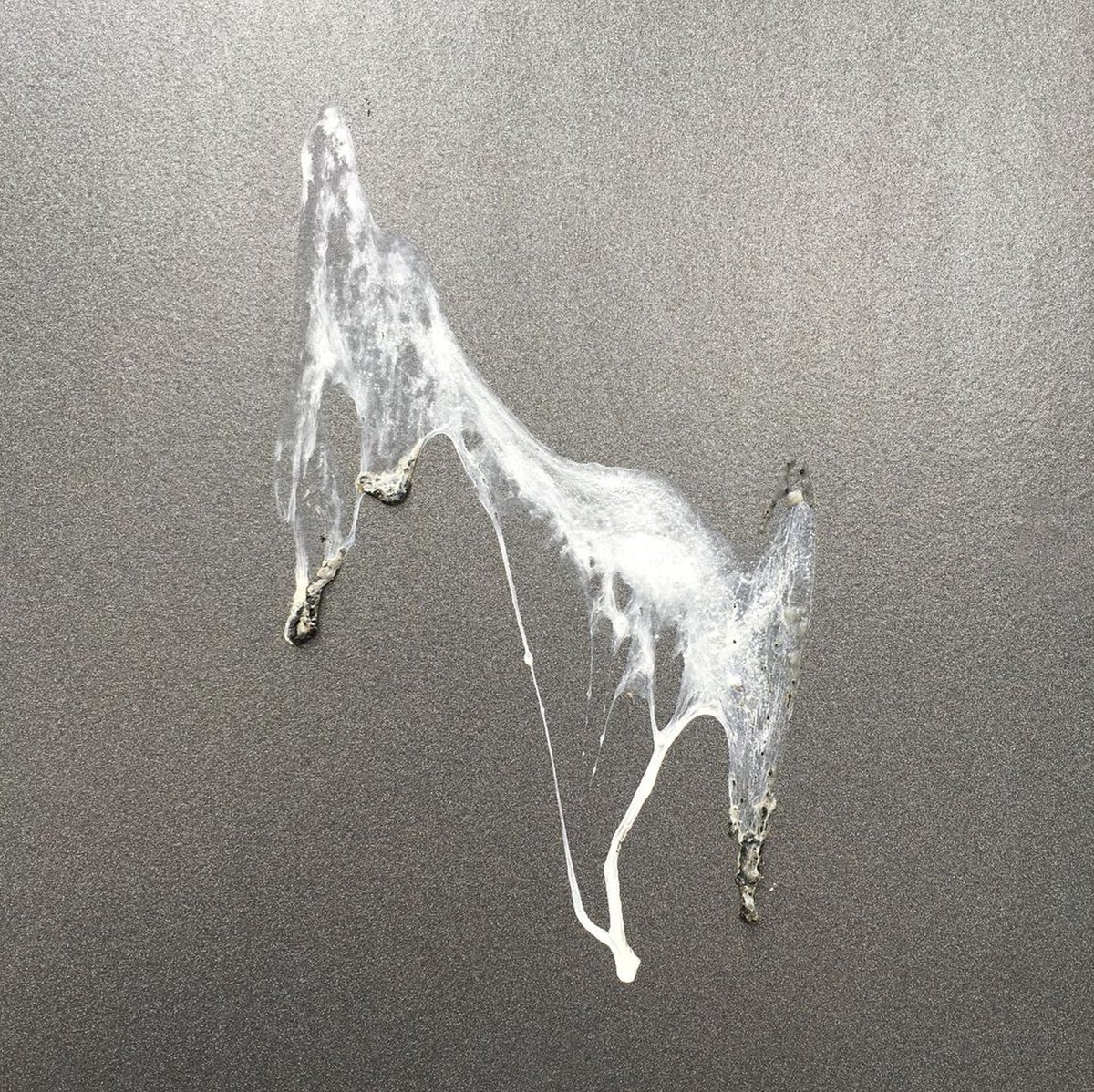 Clout.art tweet media