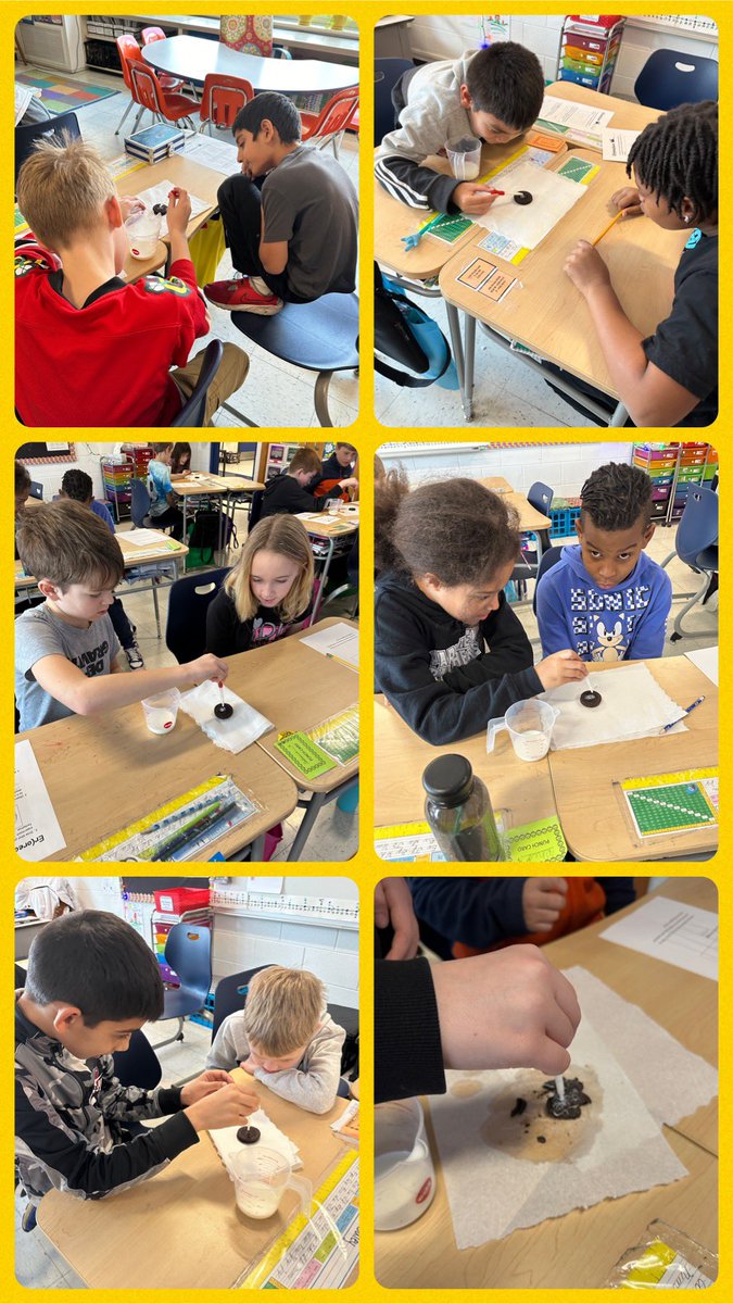 Mrs. Steph Roberts tweet media